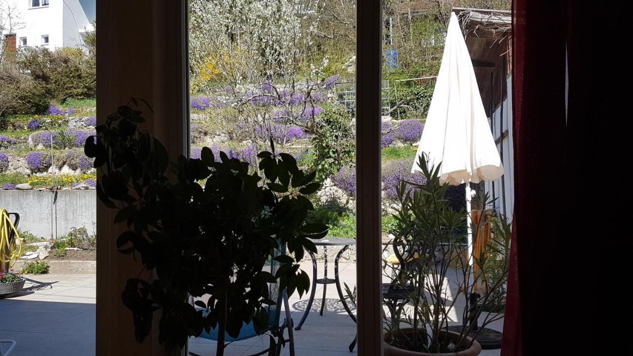 Haus Wunderlich Leilighet Sigmaringen Eksteriør bilde